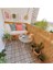 Hasır 40 cm x 3 Metre Doğal Kamış Hasır Balkon Çiti Krem 1