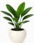 So-Kurs1 Dekoratif Modern Yuvarlak Küre Saksı 7.5 Litre No 1 2