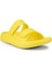 Cozmo E Buttercup 1