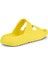 Cozmo E Buttercup 2