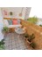 90 cm x 2,50 Metre Kamış Hasır Bahçe Çiti Balkon Çiti Gölgelik ve Dekorasyon 7