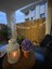70 cm x 5 Metre Kamış Hasır Bahçe Çiti Balkon Çiti Gölgelik ve Dekorasyon 3