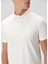 Polo Yaka T-Shirt 4