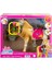 HXJ42 Barbie ve Dansçı Atı - Barbie Mysteries: The Great Horse Chase 1