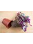 Pembe Telgraf Çiçeği Tradescantia Nanouk 15-25 cm 2