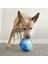 Ödüllü Köpek Oyuncağı Rewards L 17cm 3