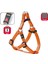 Kilitli Göğüs Tasma S/M 35-60Cm Turuncu 1