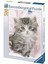 Ravensburger 500 Parça Puzzle Yavru Kedi, Yapboz 1