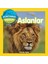 National Geographic Kids Dünyamızı Keşfedin Aslanlar - Amy Sky Koster 1