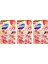 Tuvalet Bloğu Aroma Lux Yıldız Çiçeği & Ejder Meyvesi 100 G X3 2