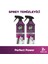 Perfect Power Sprey Kireç ve Pas Kireç Lekelerini Söker 435 ml X2 1