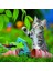 - 3 x 49 Parça Puzzle Tiger Babies (80465) 4