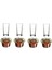 8 Parça Ehlikeyf Set Rakı 1