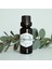Okaliptus Mum Esansı 20ML 1