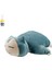 Uyku Serisi Oyuncak Bebek Uyku Pozisyonu Jenny Kaplumbağa Bulbasaur Tohumu Rüya Ulaşılabilir Ördek Peluş Yastık (Yurt Dışından) 1
