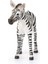 Wild Life Yavru Zebra 3
