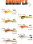 Shrimper 75MM 8.5gr Silikon Karides Yem Fizzy 1