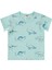 Erkek Bebek Şortlu Takım 6-18 Ay Mint 3