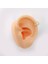 14 Ayar Altın 3 Taşlı Minimal Halka Piercing 2