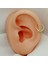 14 Ayar Altın Taşlı Minimal Halka Piercing 4
