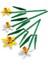Nessiworld 40747 Lego® Iconic Botanical Collection Nergis 247 Parça +8 Yaş 3