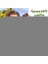 Ananas Lamp; Hindistan Cevizi Tasarımlı Pipetli Bardak Seti (6 Adet) 3