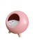 Little Pet House Masa Lambası, Gece Lambası, Abajur 5