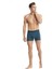 Erkek Aura Antrasit Boxer C2T0N5O9 2
