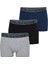 Modern Basics Shorty 3'lü Boxer Siyah-Gri-Lacivert -127 Boxer 9472 1