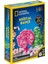 National Geographic Natgeo Kristal Bitki Kiti 1