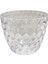 Şeffaf Orkide Saksısı 1,6 L 1