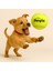 Evcil Hayvan Frizbi - Disk Köpek Oyuncağı - Frizbi Köpek Oyunu - Tenis Topu Kedi Köpek Oyuncağı 3