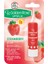 Dudak Balmı Strawberry SPF15 2