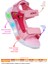 Unicorn Günlük Işıklı Cırtlı Kız Çocuk Sandalet Ayakkabı Pembe 2