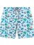 All Over Erkek Mayo Şort JFSSSWL134-TEDDY Summer 1