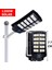 E1200-01 Dls 1200 Solar Güneş Enerjili Profesyonel LED Bahçe Aydınlatması Hareket Sensör 2