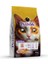 Kısırlaştırılmış Balıklı Kedi Maması 500 G 5 Adet 1
