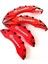 Jumpy Uyumlu Brembo Kırmızı Kaliper Kapağı 4 Parça Ön Arka Set 1