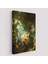 Jean-Honore Fragonard Salıncağın Mutlu Kazaları TABLOSU-6253 1