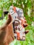 iPhone Xr Uyumlu Kılıf Desenli Baskılı Silikon 2