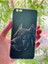 iPhone 6 Plus / 6s Plus Uyumlu Kılıf Asil Köpek Desenli Baskılı Silikon 1