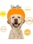Cookie Pumpkin - Balkabaklı & Muzlu Köpek Ödül Maması 5