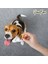 Cookie Pumpkin - Balkabaklı & Muzlu Köpek Ödül Maması 6