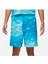 Jordan Essentials Air All-Over Print With Mesh Basketball Erkek Şort 3