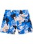 NP0A4IBLFDB1-V-INUVIK 1 Çok Renkli Regular Fit Erkek Şort Mayo 2
