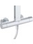 Ceratherm Alu+ Termostatik Duş Sistemi 8