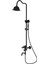 TP1480B Topkapı Tepe Duş Sistemi -Siyah Antik 2