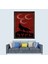 Türkçü Bozkurt ve 3 Hilal Çerçeveli Duvar Tablosu 20X30 cm 1