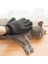 Tüy Toplayan Kedi Temizleme Eldiveni, Kolay ve Hızlı Tüy Temizliği Için Ideal 7