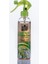 Multi Sprey Oleaster Iğde Çiçeği 350 ml 1